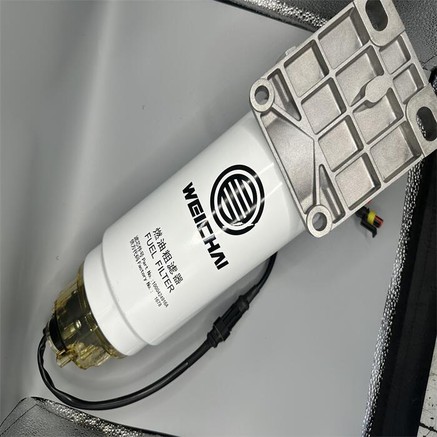 1000444720 3 1000444720 3