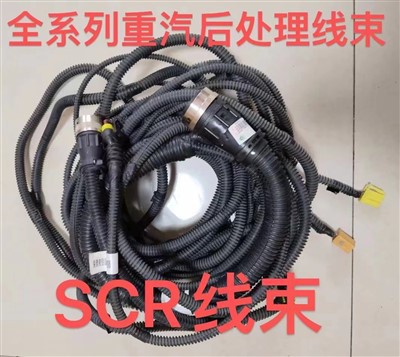 SCR Post-processing Harness