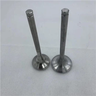 Truck Engine Exhaust Valve