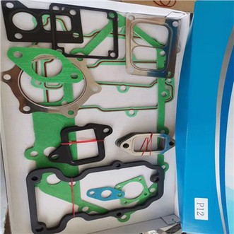 Truck Engine Repair Kit